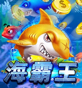 ZG 捕魚